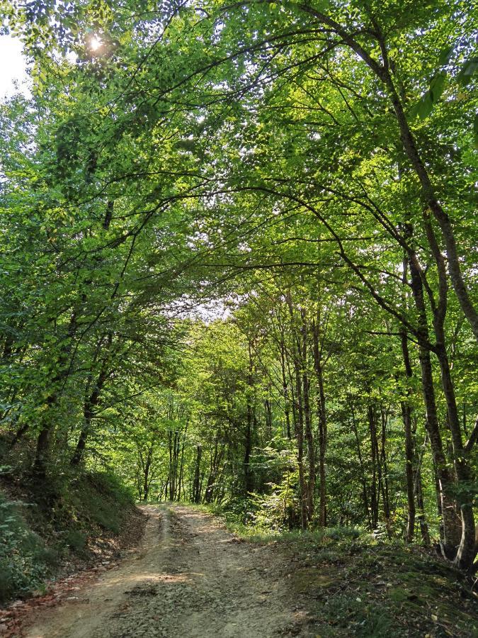Les Hauts de Grazac Grazac  Exterior foto