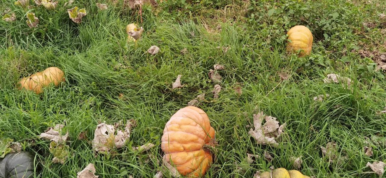 Les Hauts de Grazac Grazac  Exterior foto